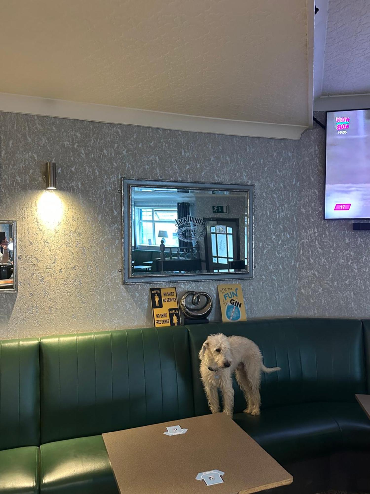 The Angel Inn Troed-y-rhiw エクステリア 写真